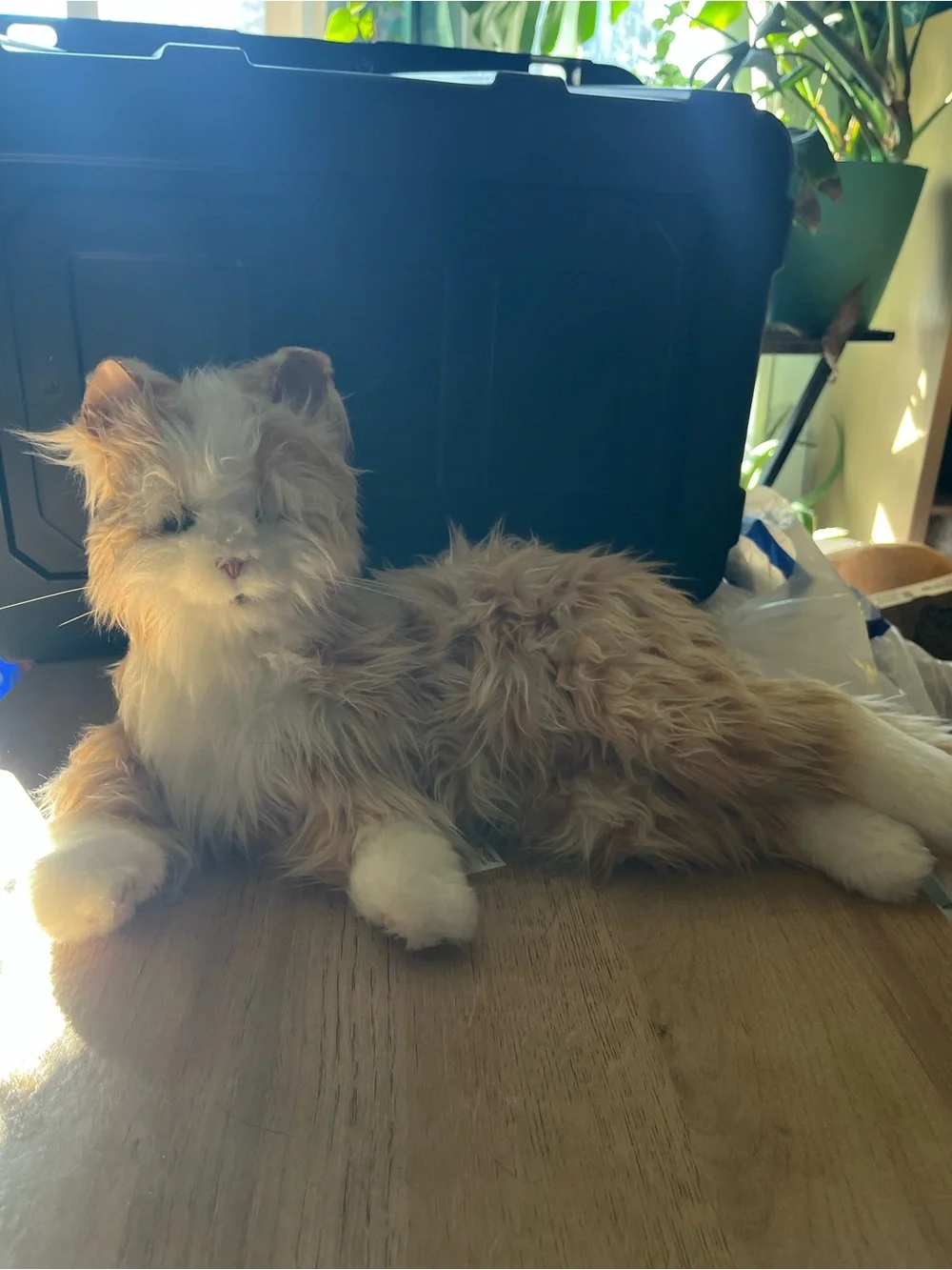 Joy For All Animatronic Interactive Tabby Cat Kitty Comfort Companion Works!